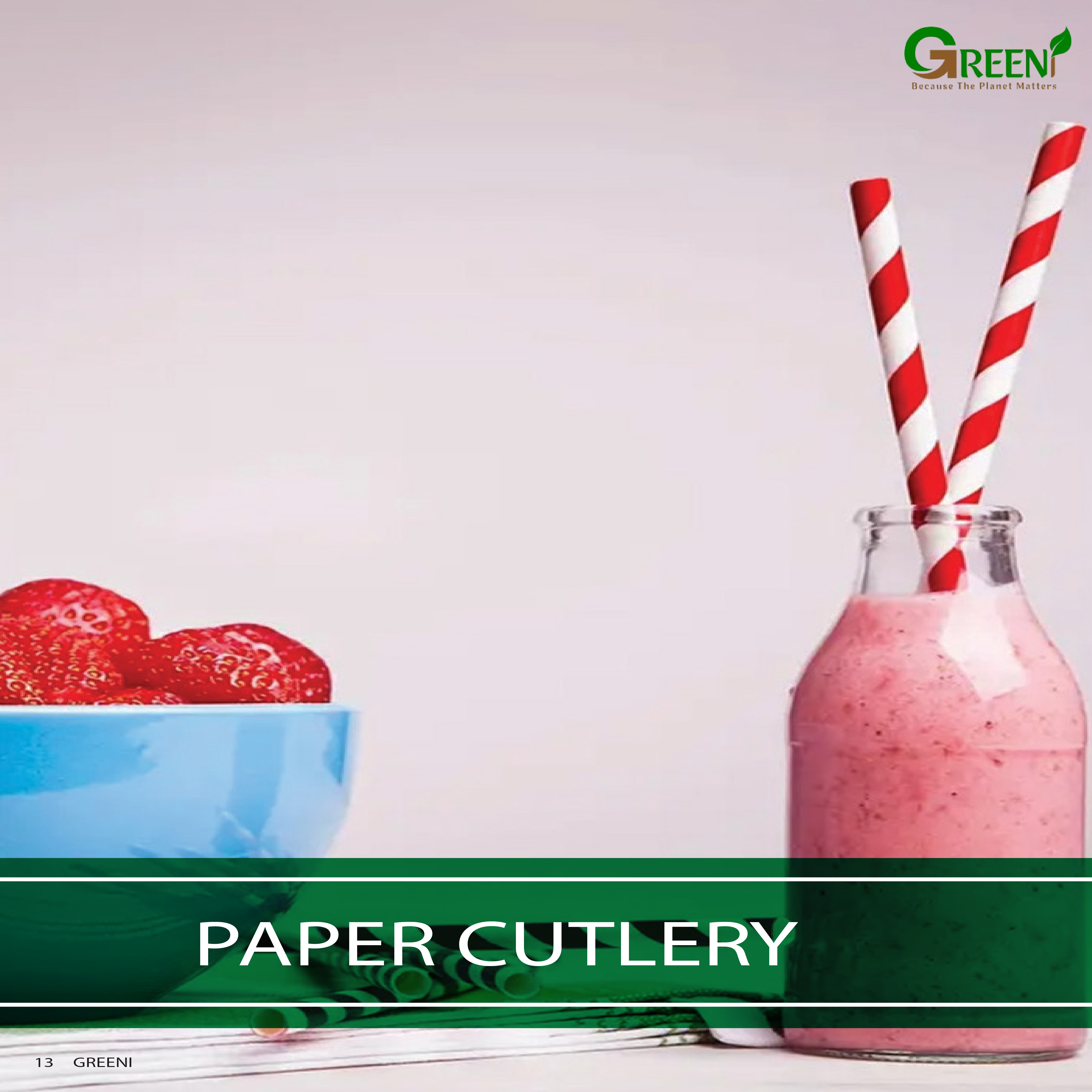 PAPER CUTLERY-01-01