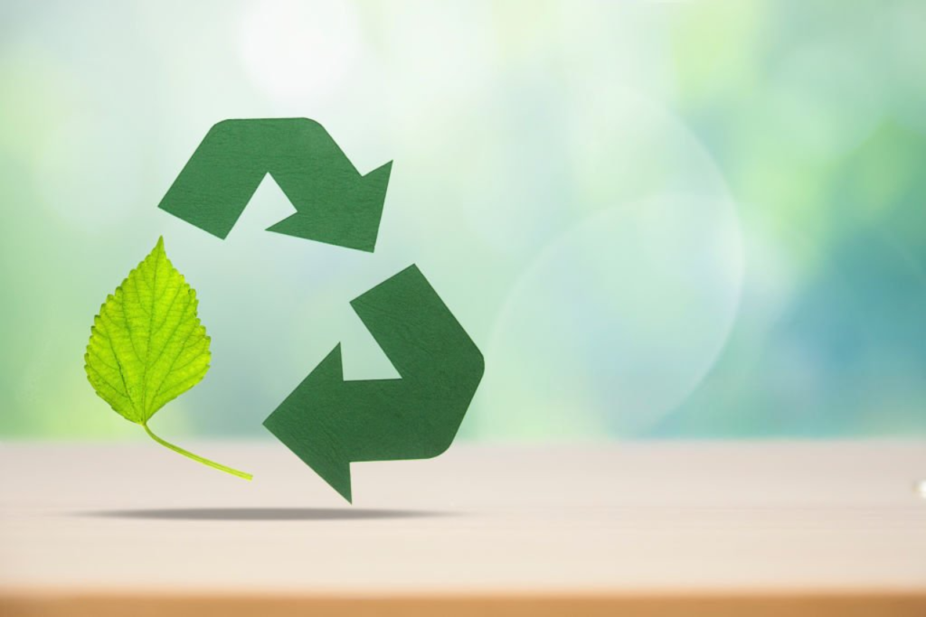 P3_Recycle_1736068405751